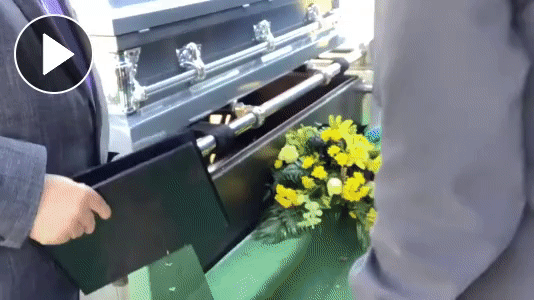 Click here to view your video