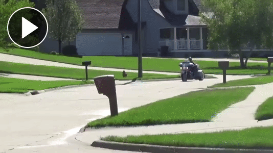 Click here to view your video